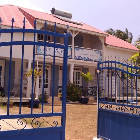 Sur L'Anse Villa Terre-De-Haut Ngoại thất bức ảnh